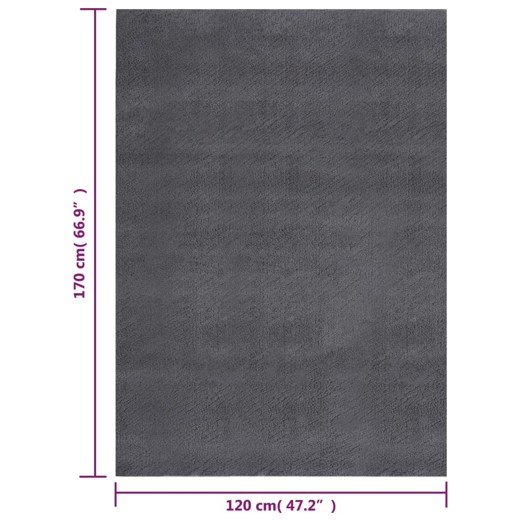 paklājs, 120x170 cm, mazgājams, neslīdoša pamatne, pelēks