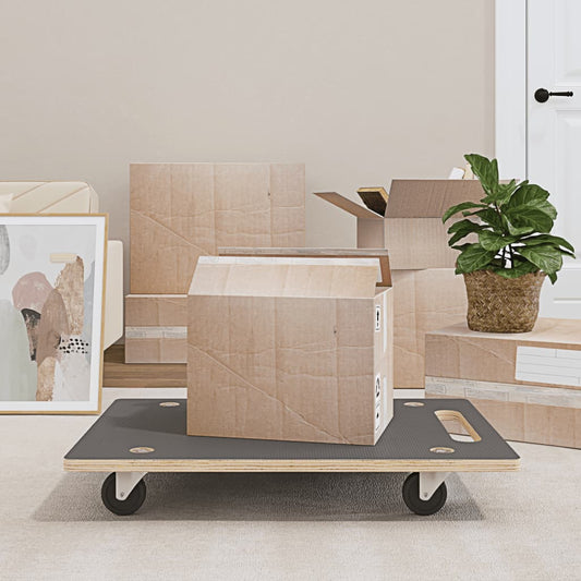 furniture trolley, 2 pcs., rectangular shape, 80x55x11.5 cm
